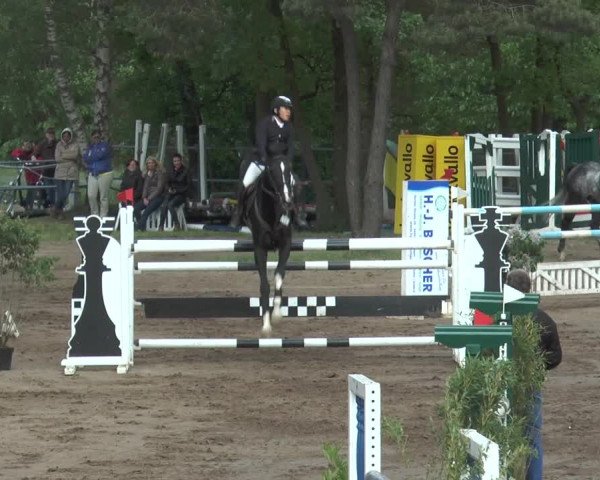 Reitturnier Mettingen 2016