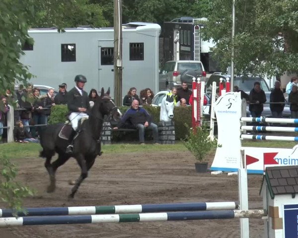Reitturnier Mettingen 2016