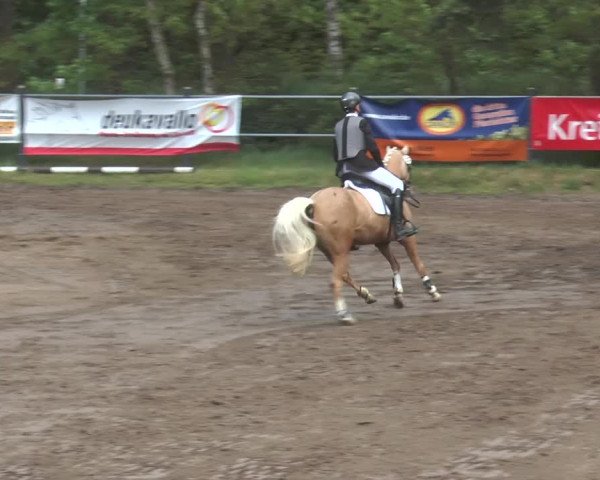 Reitturnier Mettingen 2016