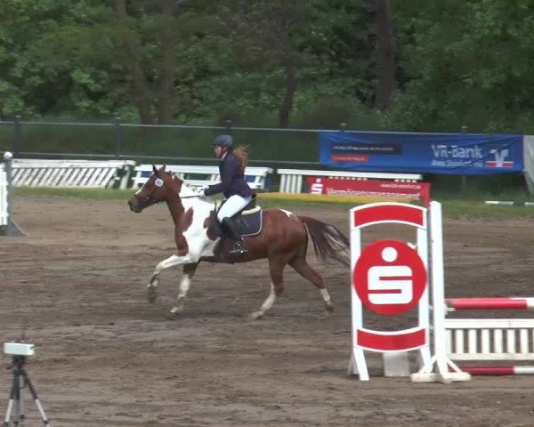 Reitturnier Mettingen 2016