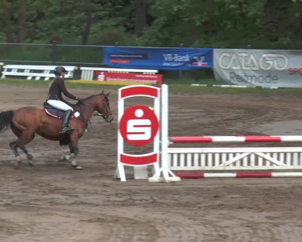Reitturnier Mettingen 2016