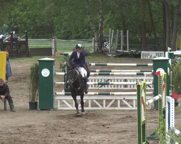 Reitturnier Mettingen 2016