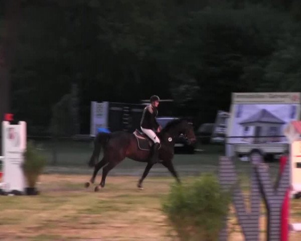 Reitturnier Borken 2016