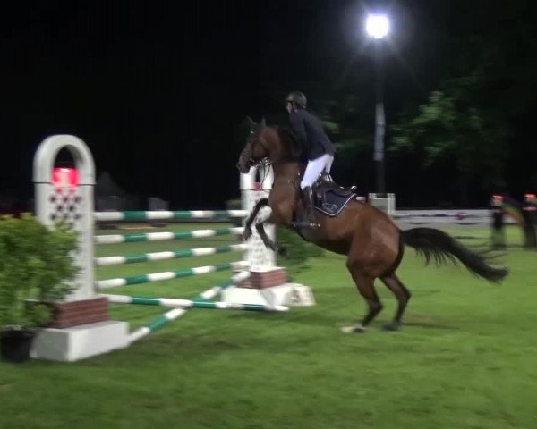Reitturnier Cottbus-Sielow 2016