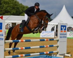jumper Latina O (Oldenburg show jumper, 2013, from Lord Argentinus)