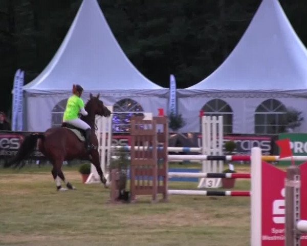 Reitturnier Borken 2016