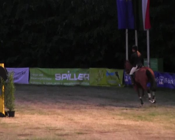 Reitturnier Borken 2016