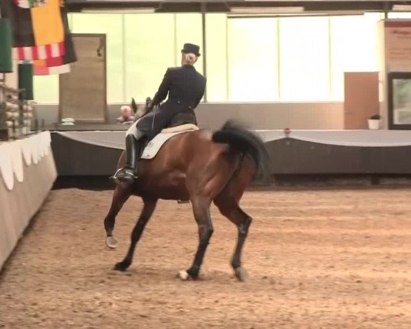 Reitturnier Bochum-Nord 2016