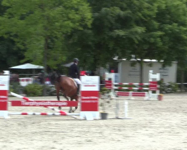 Reitturnier Bochum-Nord 2016