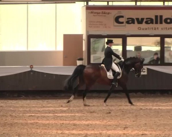 Reitturnier Bochum-Nord 2016