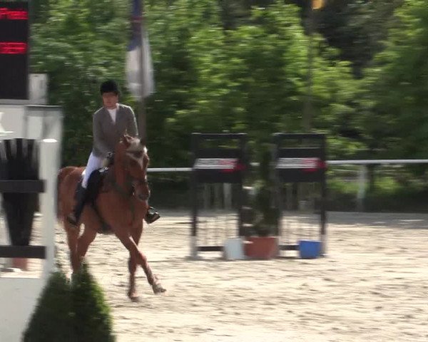 Reitturnier Bochum-Nord 2016