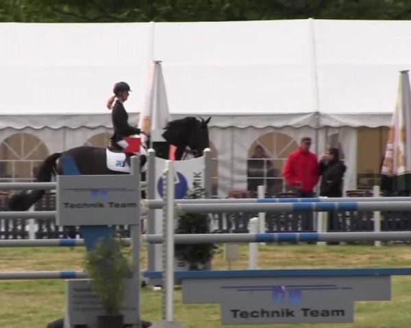 Reitturnier Borken 2016