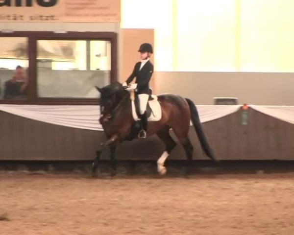 Reitturnier Bochum-Nord 2016