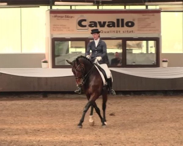 Reitturnier Bochum-Nord 2016
