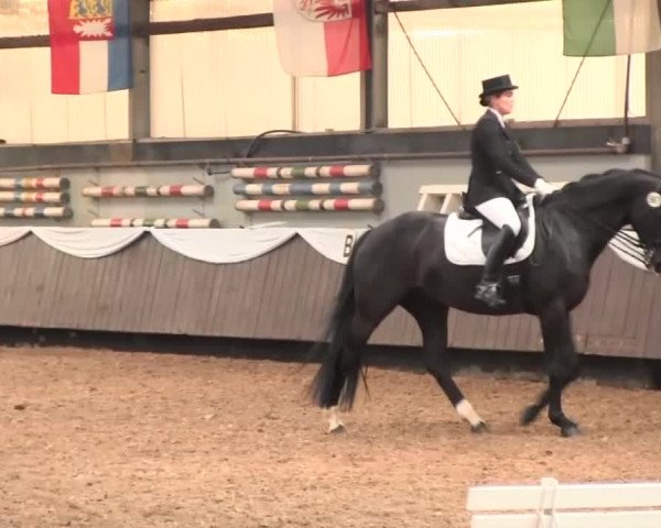 Reitturnier Bochum-Nord 2016