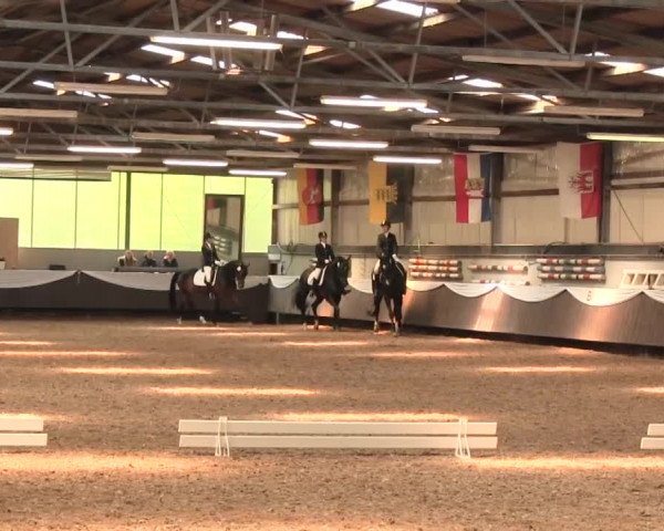 Reitturnier Bochum-Nord 2016