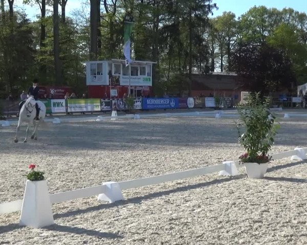 3. Holtkämper Dressurtage 2016
