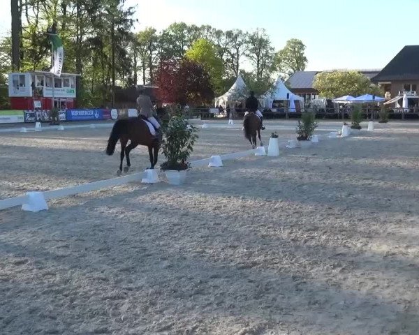 3. Holtkämper Dressurtage 2016