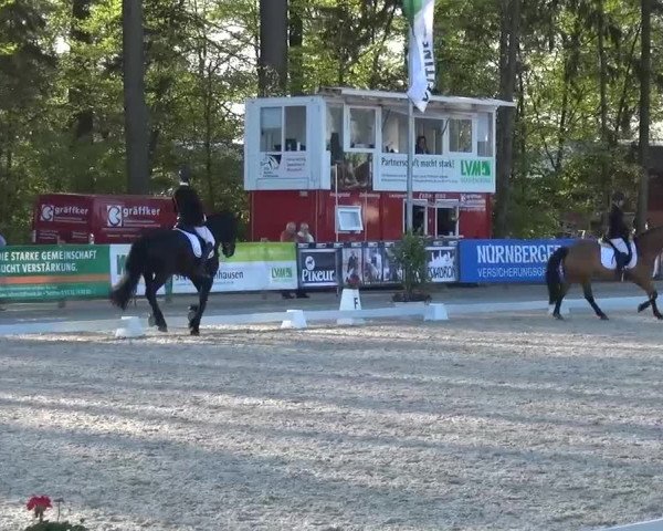 3. Holtkämper Dressurtage 2016