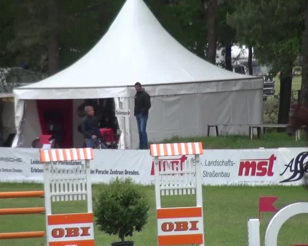 Reitturnier Cottbus-Sielow 2016