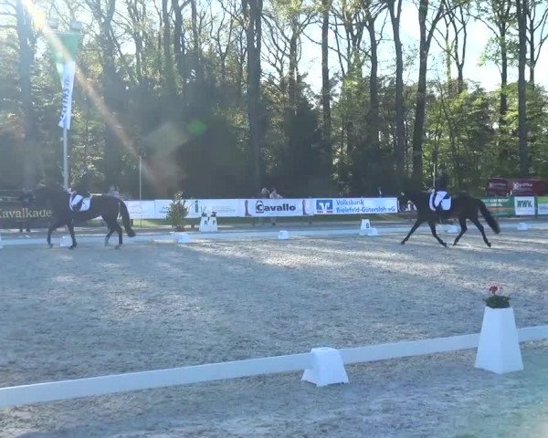 3. Holtkämper Dressurtage 2016