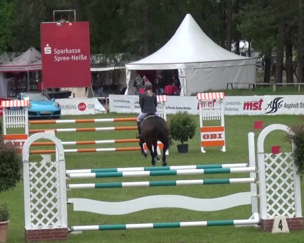 Reitturnier Cottbus-Sielow 2016