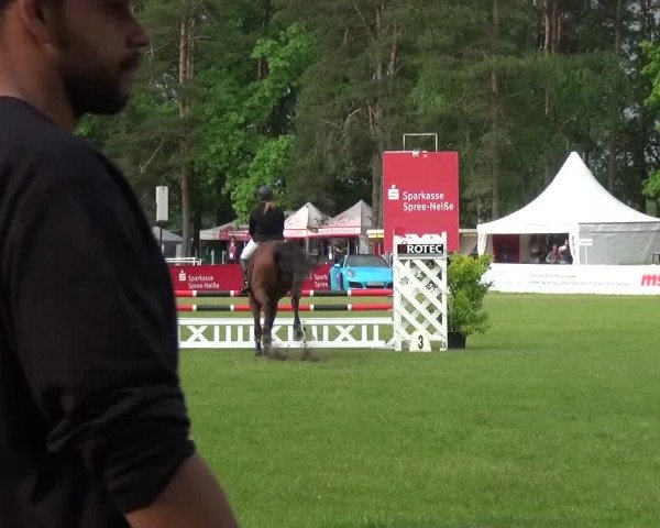 Reitturnier Cottbus-Sielow 2016