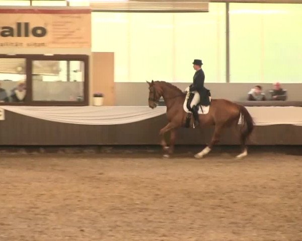 Reitturnier Bochum-Nord 2016
