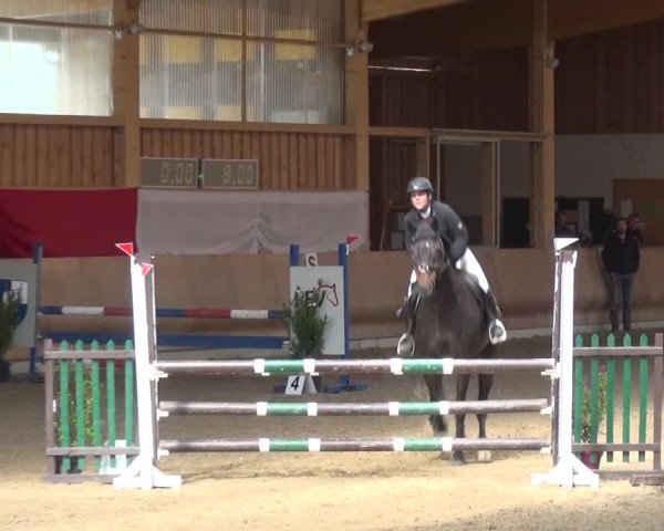 Reitturnier Schwendi 2016