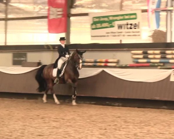 Reitturnier Bochum-Nord 2016