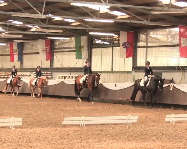 Reitturnier Bochum-Nord 2016