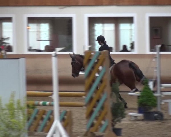 Reitturnier Schwendi 2016