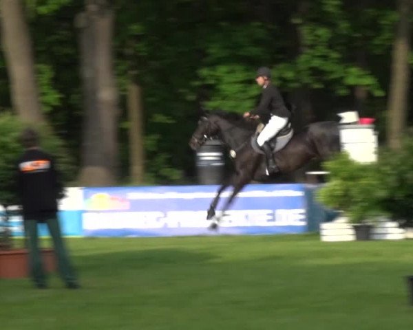 Reitturnier Cottbus-Sielow 2016