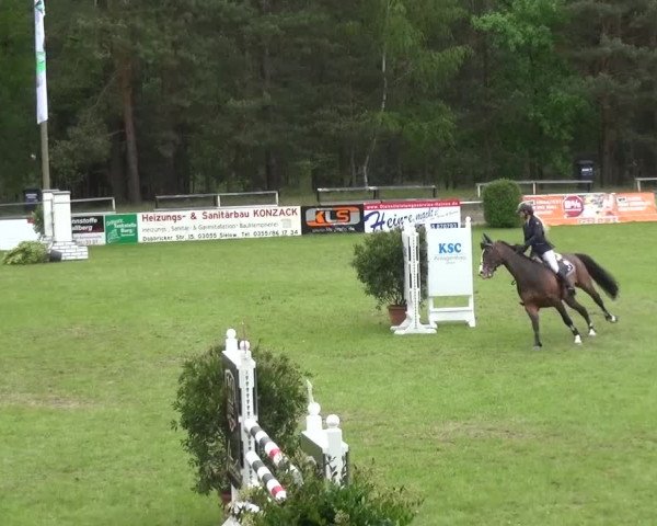 Reitturnier Cottbus-Sielow 2016