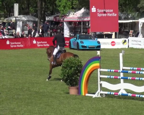 Reitturnier Cottbus-Sielow 2016