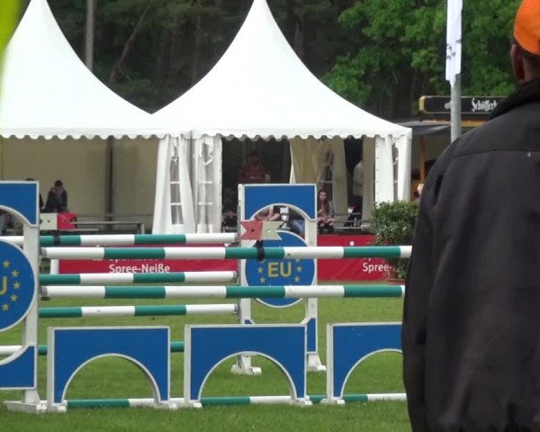 Reitturnier Cottbus-Sielow 2016