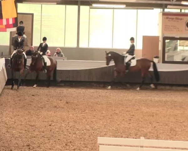 Reitturnier Bochum-Nord 2016