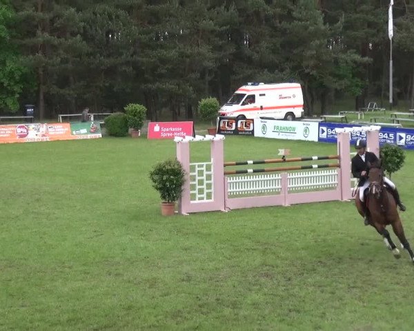 Reitturnier Cottbus-Sielow 2016