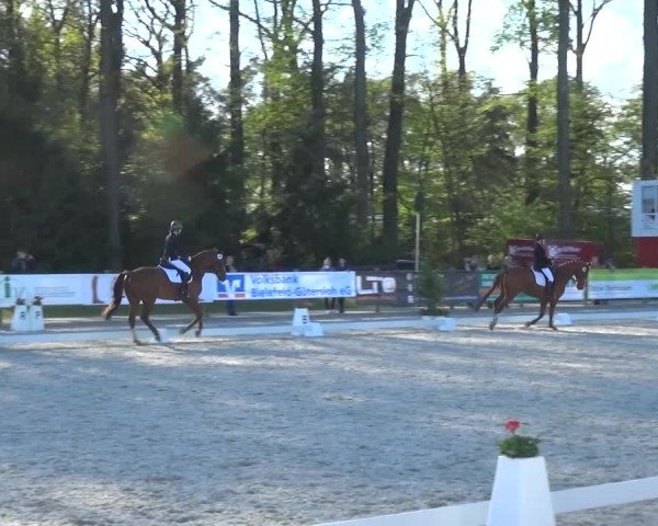 3. Holtkämper Dressurtage 2016