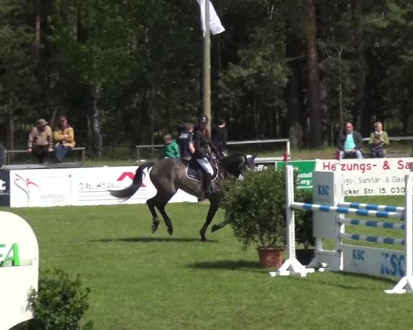 Reitturnier Cottbus-Sielow 2016