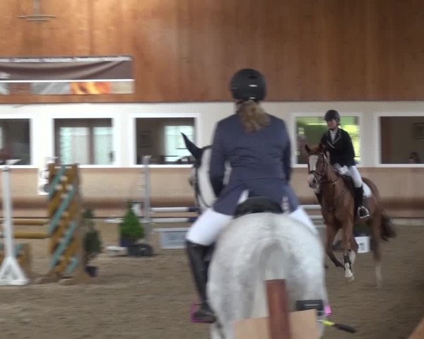 Reitturnier Schwendi 2016