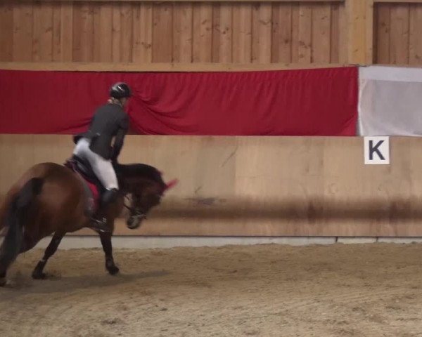Reitturnier Schwendi 2016
