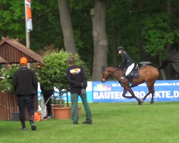 Reitturnier Cottbus-Sielow 2016