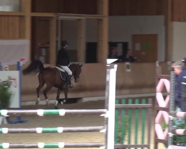 Reitturnier Schwendi 2016