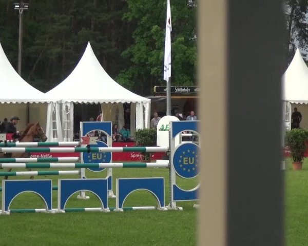 Reitturnier Cottbus-Sielow 2016