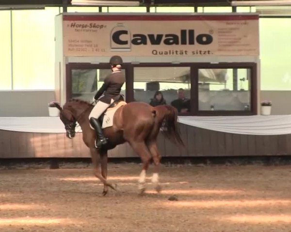 Reitturnier Bochum-Nord 2016