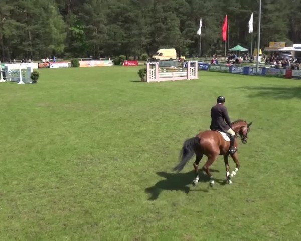 Reitturnier Cottbus-Sielow 2016