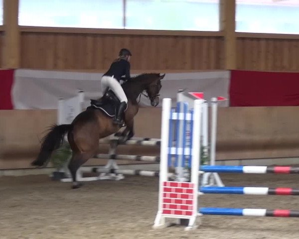 Reitturnier Schwendi 2016