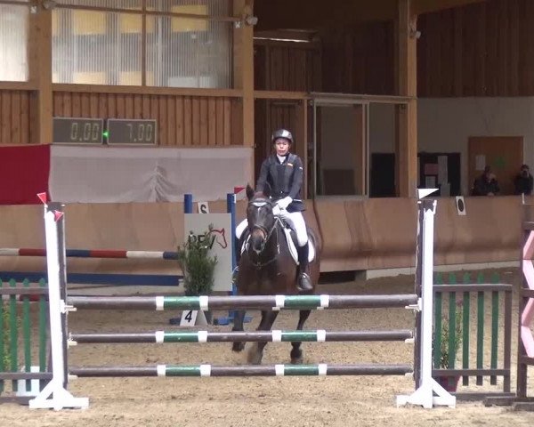 Reitturnier Schwendi 2016