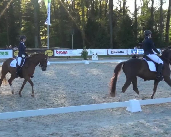 3. Holtkämper Dressurtage 2016